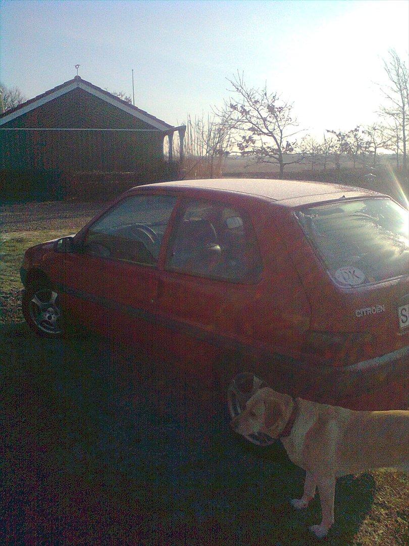Citroën Saxo - Beklager Billede kvaliteten. billede 12