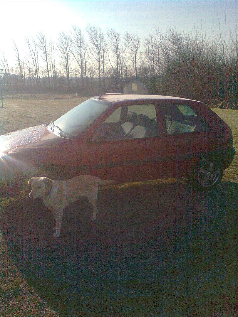 Citroën Saxo - Beklager Billede kvaliteten. billede 13