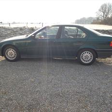 BMW E36 318i [SOLGT]