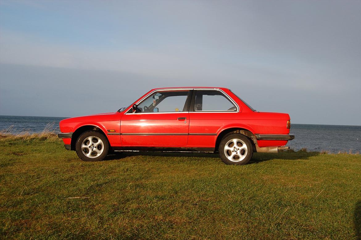 BMW E 30 316     SOLGT billede 15