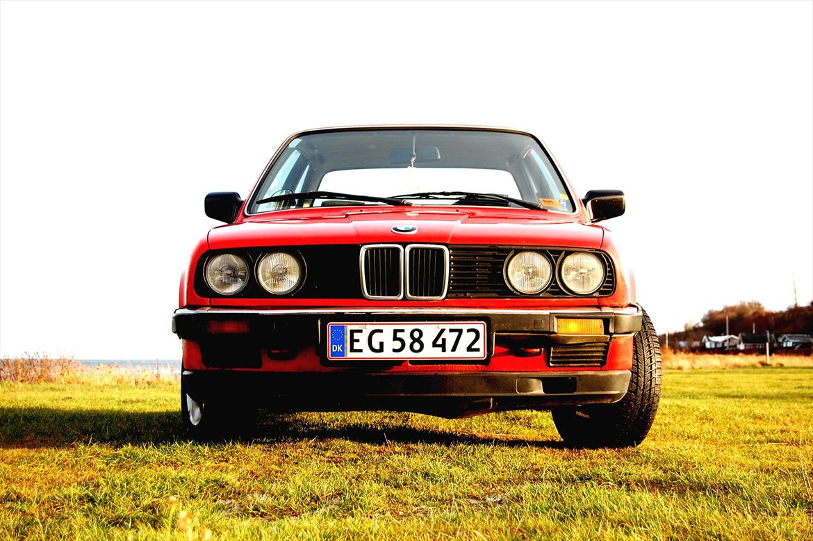 BMW E 30 316     SOLGT billede 17