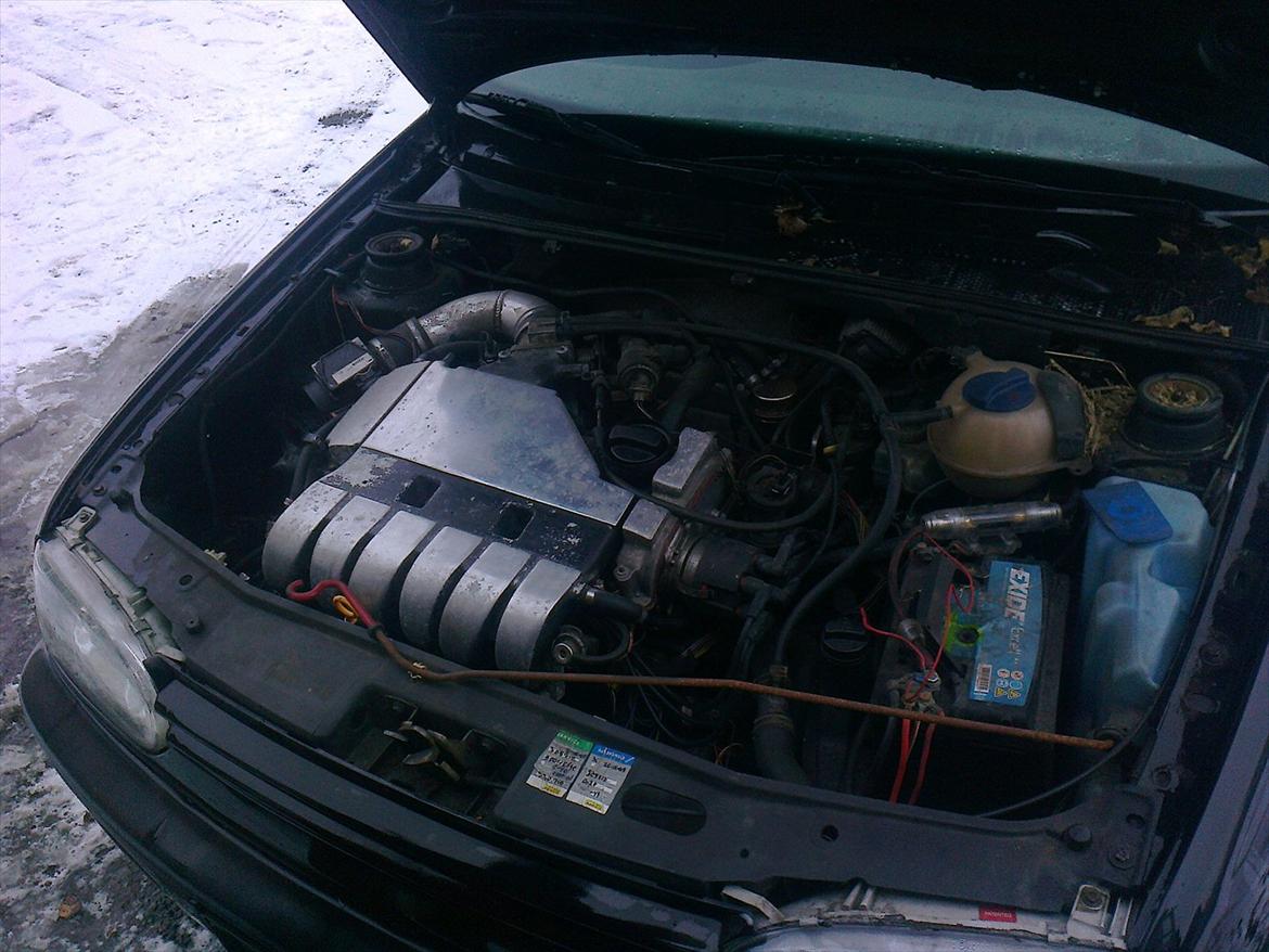 VW golf 3 VR6 billede 6