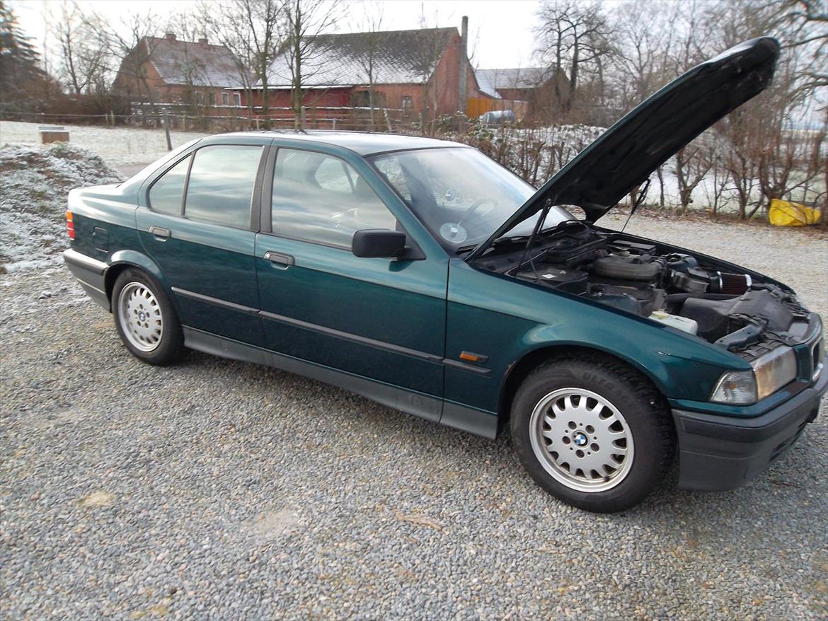 BMW E36 318i [SOLGT] billede 18