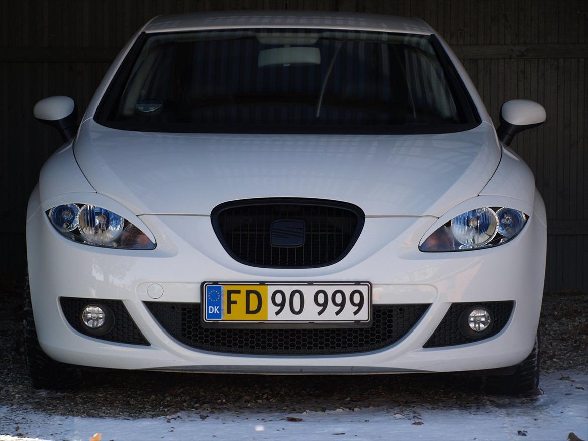 Seat Leon - Med indfarvede øjenskygger og grill. billede 19