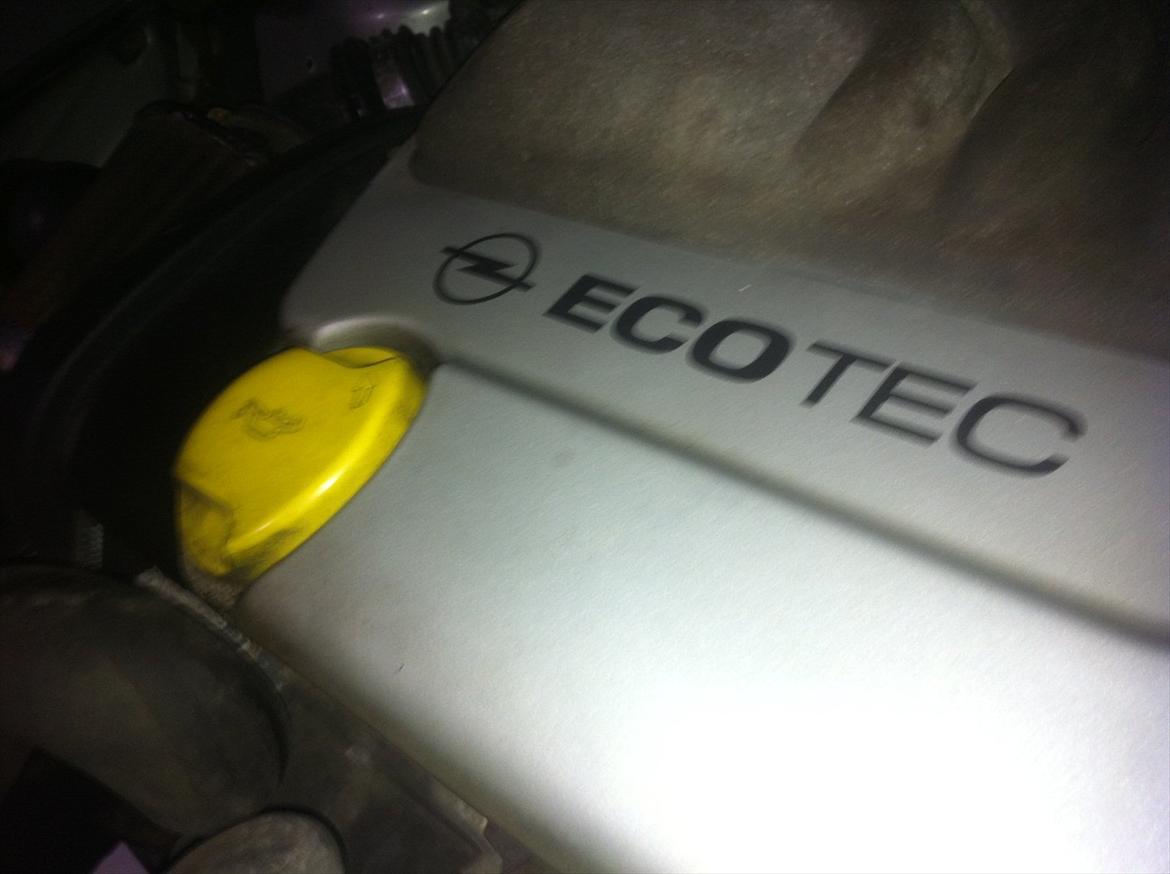 Opel Astra F (Totalskadet) :'( billede 12