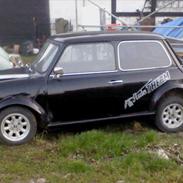 Austin-Morris mascot