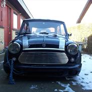 Austin-Morris mascot