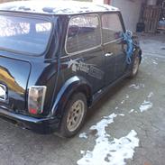 Austin-Morris mascot