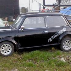 Austin-Morris mascot