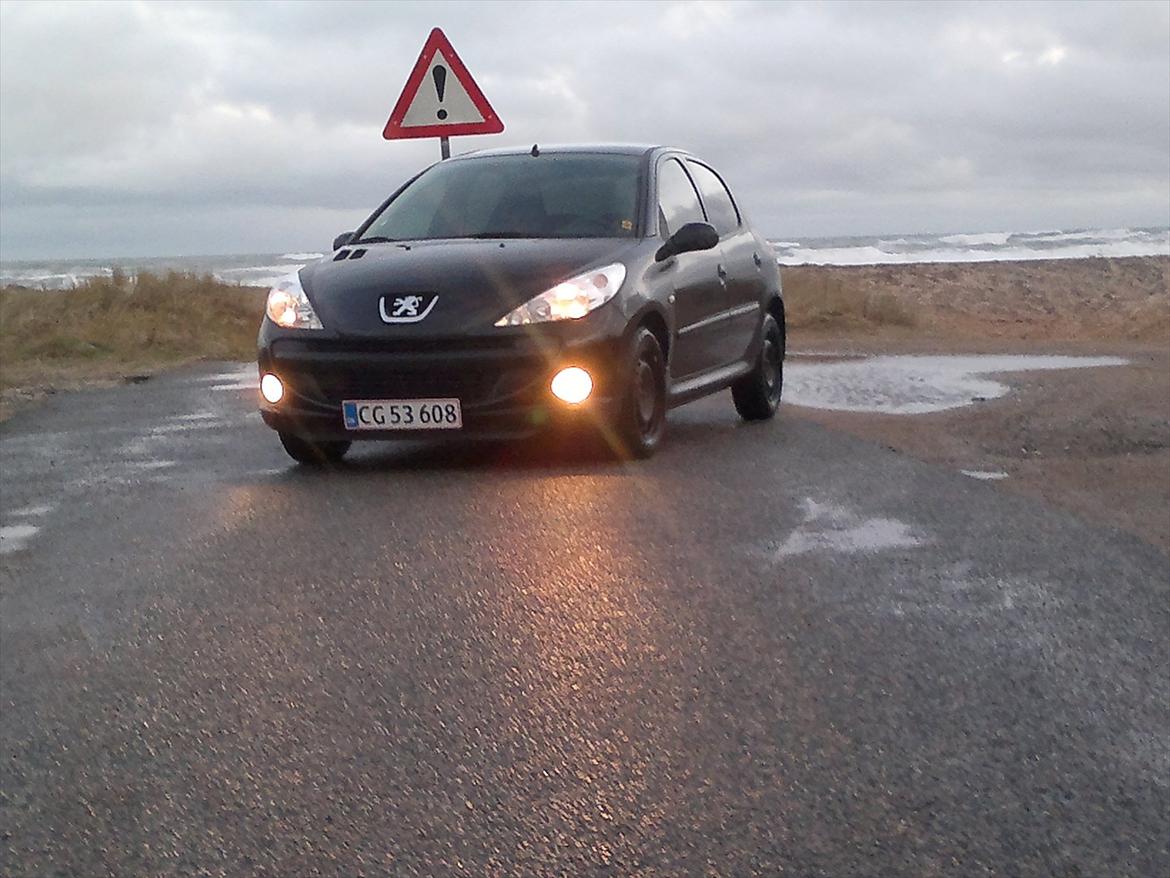 Peugeot 206 + billede 11