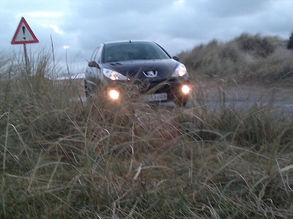 Peugeot 206 + billede 12