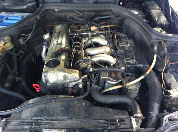 Mercedes Benz 250 D[tidl. bil] billede 10