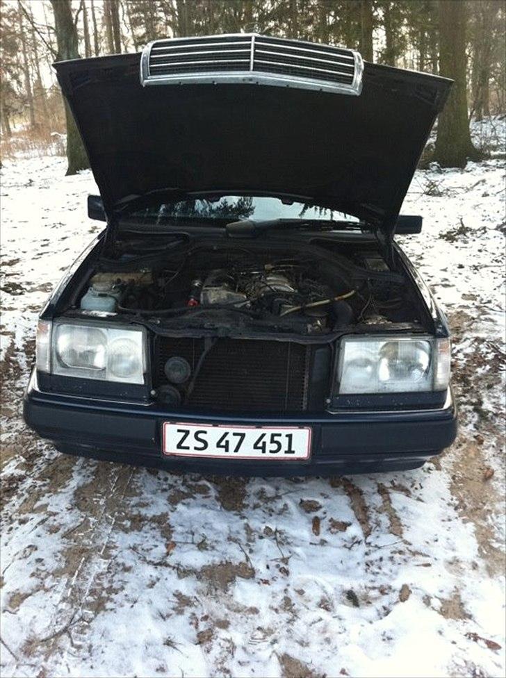 Mercedes Benz 250 D[tidl. bil] billede 12