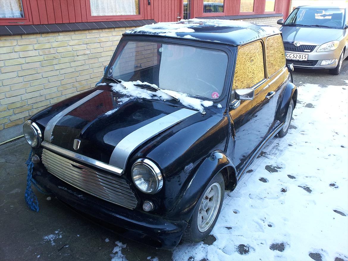 Austin-Morris mascot billede 2