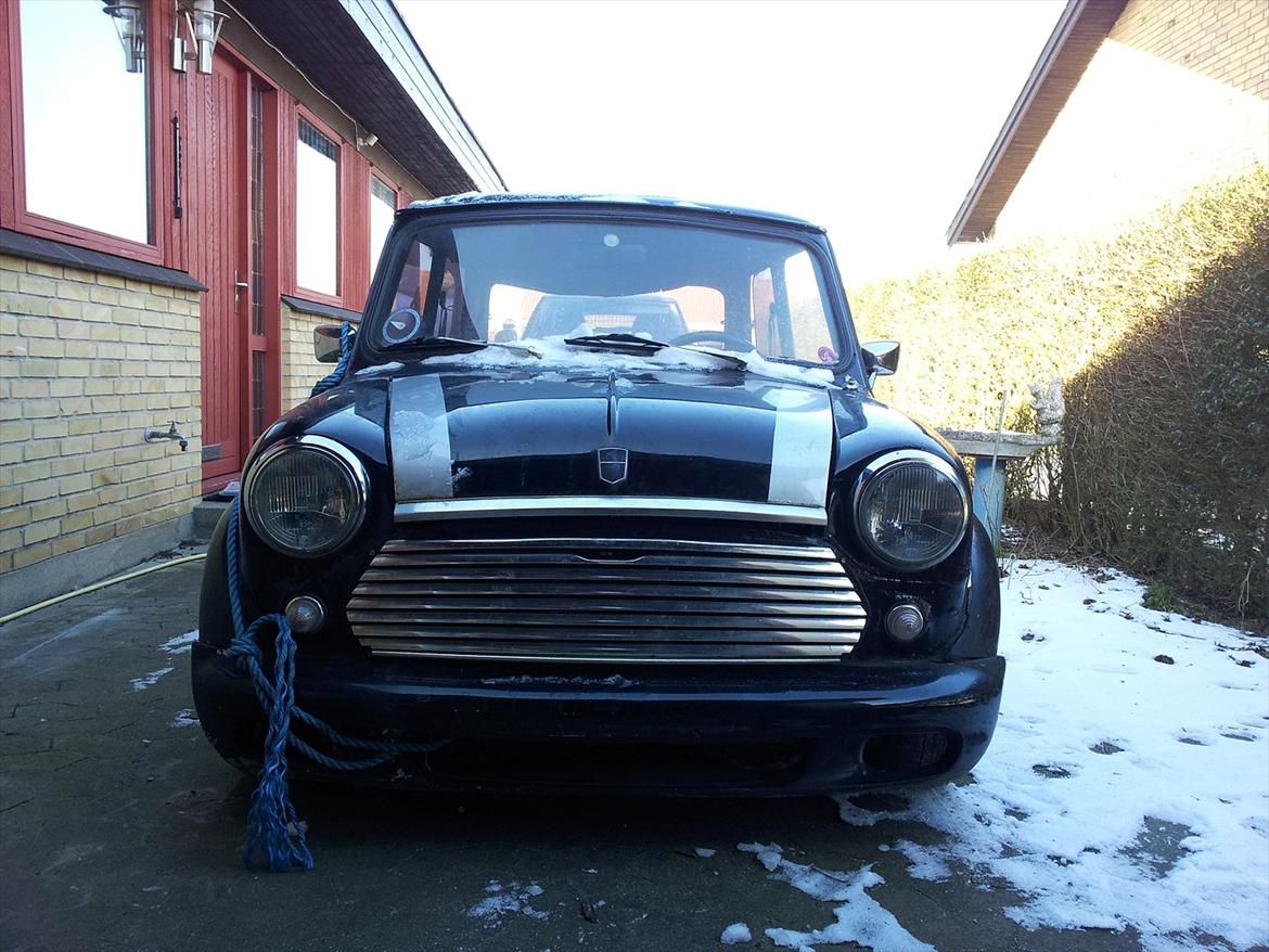 Austin-Morris mascot billede 3