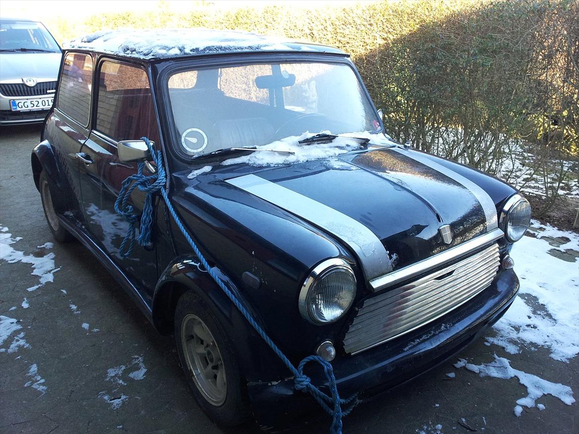 Austin-Morris mascot billede 4