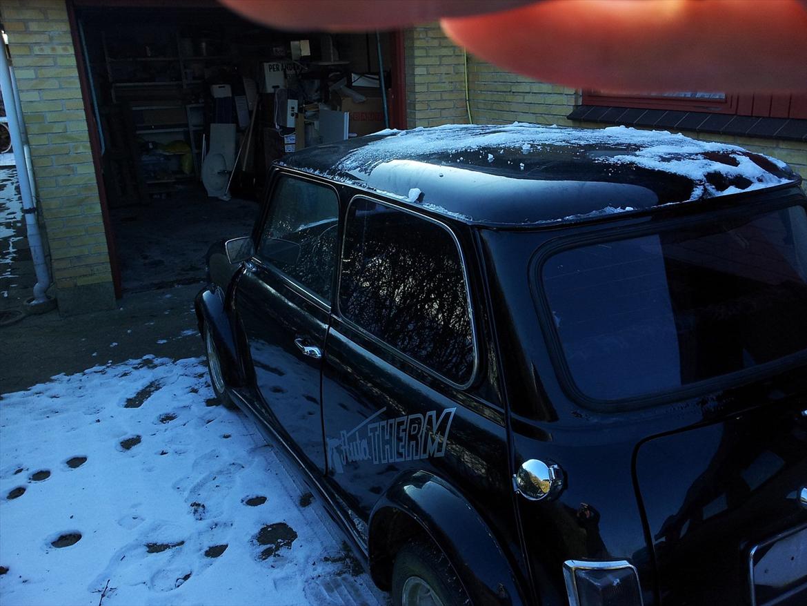 Austin-Morris mascot billede 9