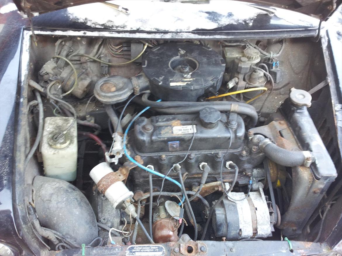 Austin-Morris mascot billede 13