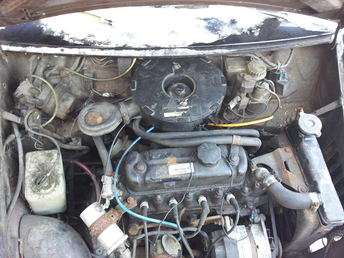 Austin-Morris mascot billede 14