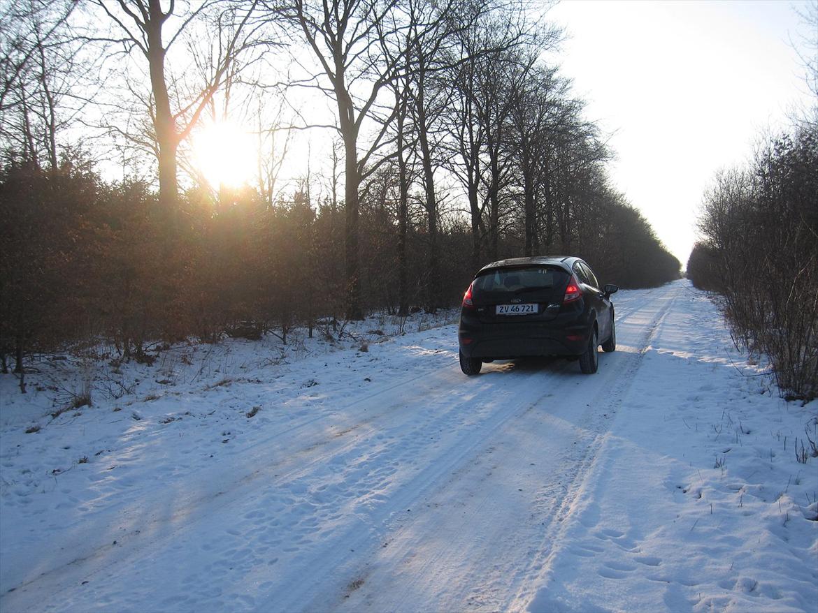 Ford Fiesta 1,25 billede 10