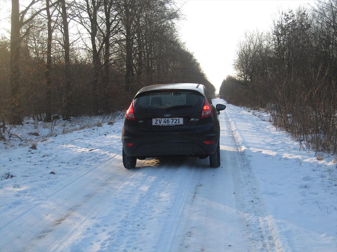 Ford Fiesta 1,25 billede 7