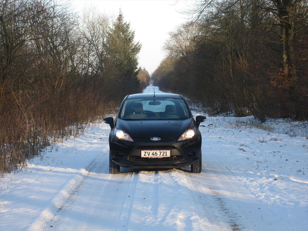 Ford Fiesta 1,25 billede 1