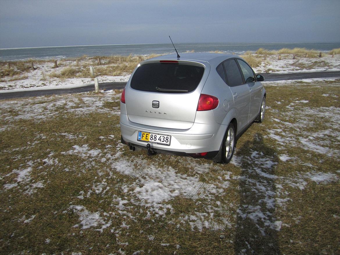 Seat Altea billede 4