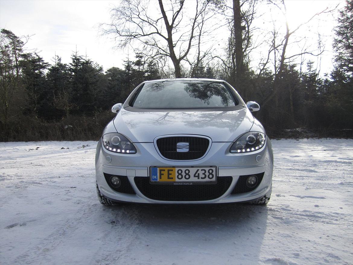 Seat Altea billede 1