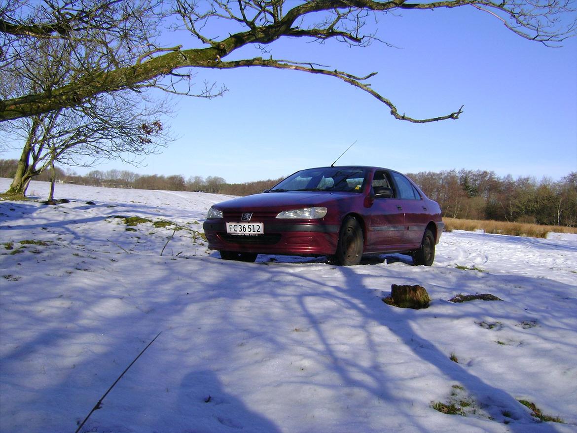 Peugeot 406 SR billede 7