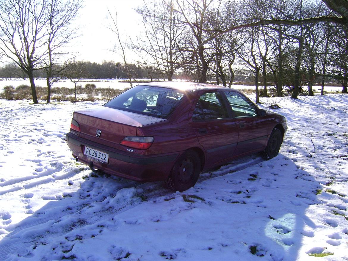 Peugeot 406 SR billede 8