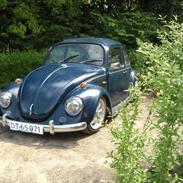 VW Bobbel 