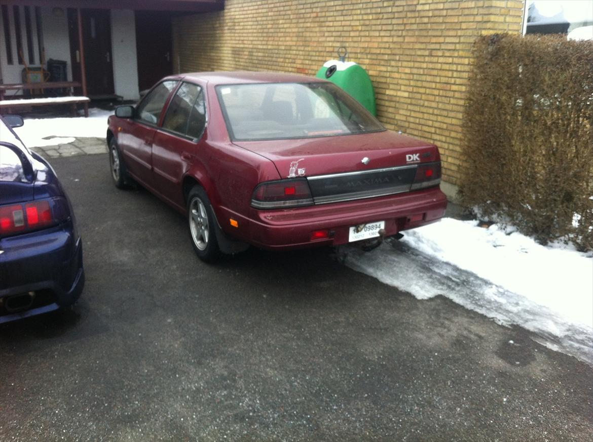 Nissan Maxima 3,0 [solgt] billede 4