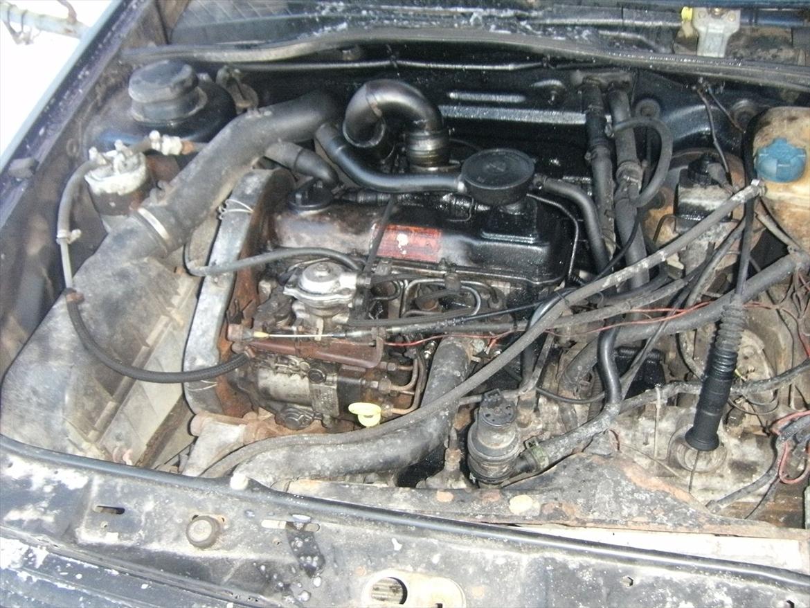 VW Golf Mk II TD billede 14