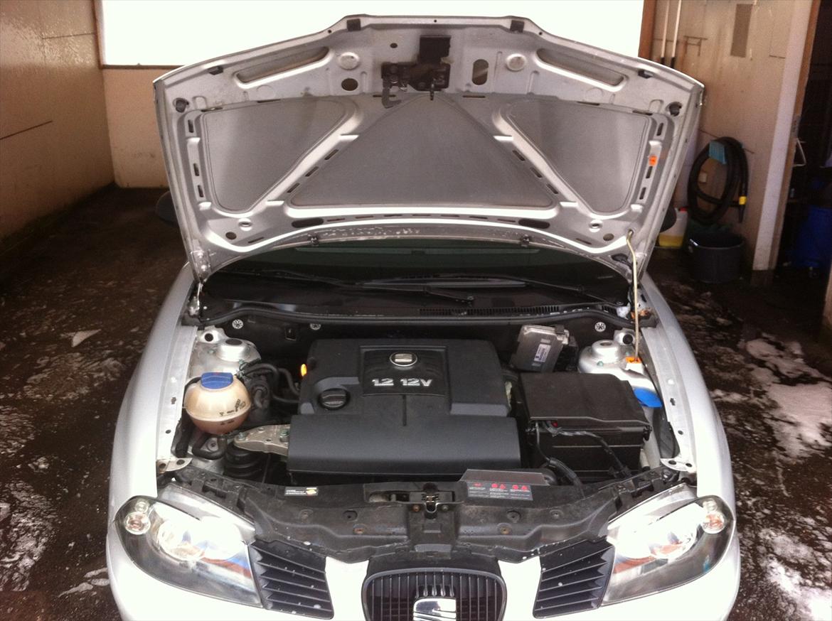 Seat Ibiza 1,2 billede 12