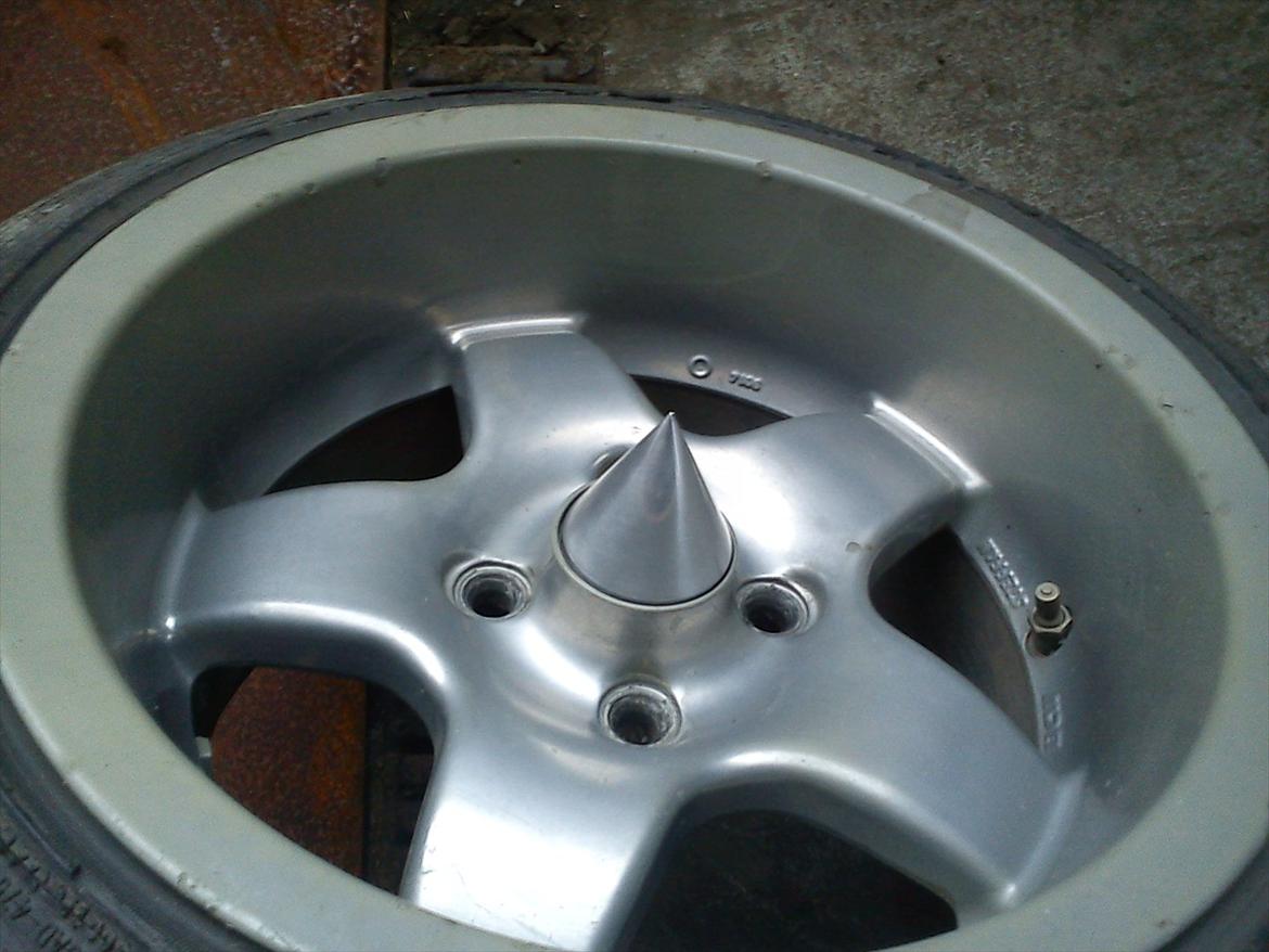 VW ørken rotten billede 15