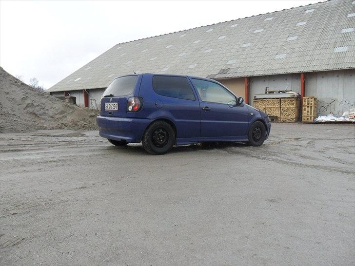 VW polo 6n billede 8