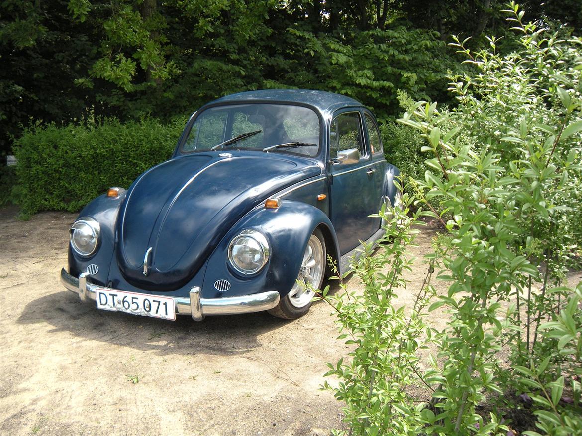 VW Bobbel  billede 4