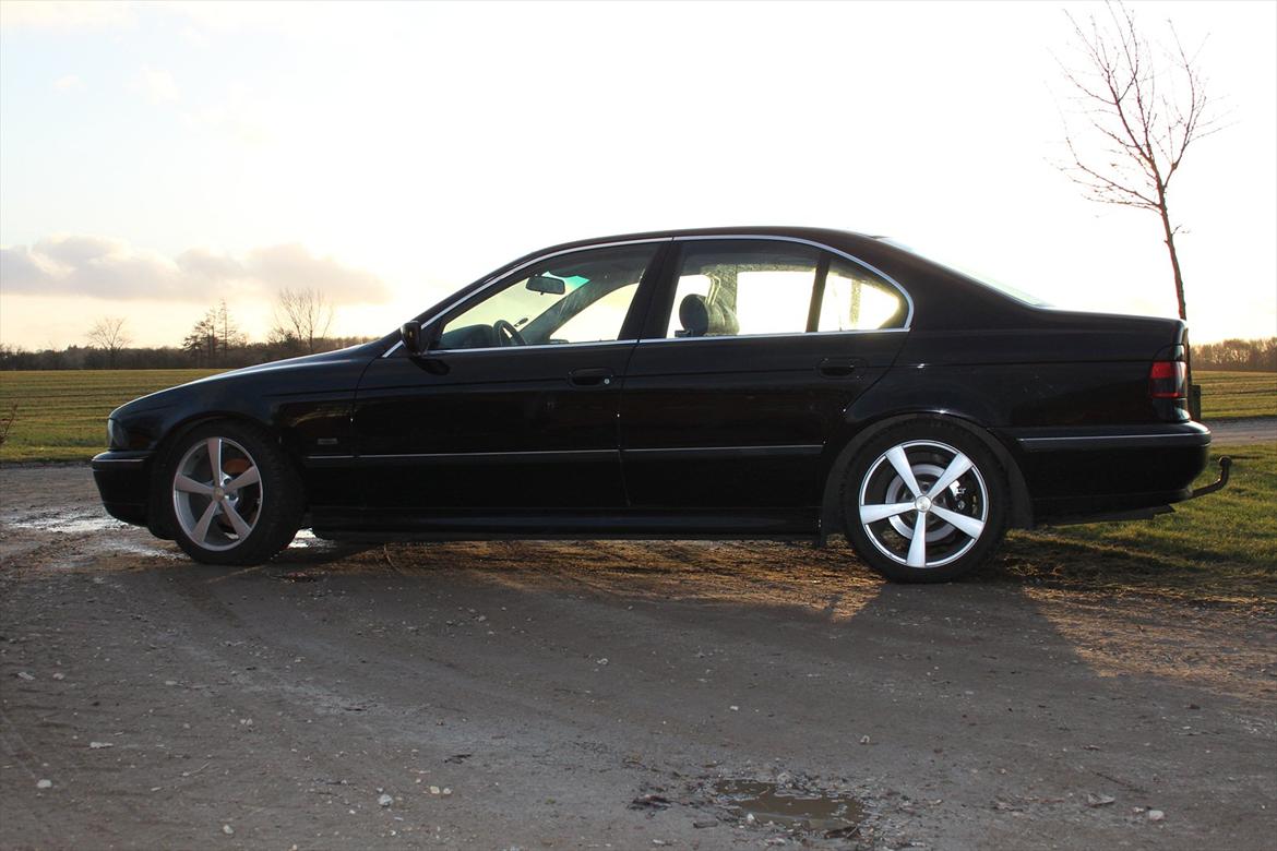 BMW E39 520I  billede 2