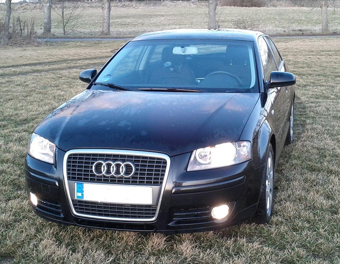 Audi A3 2.0TDI Ambition billede 1