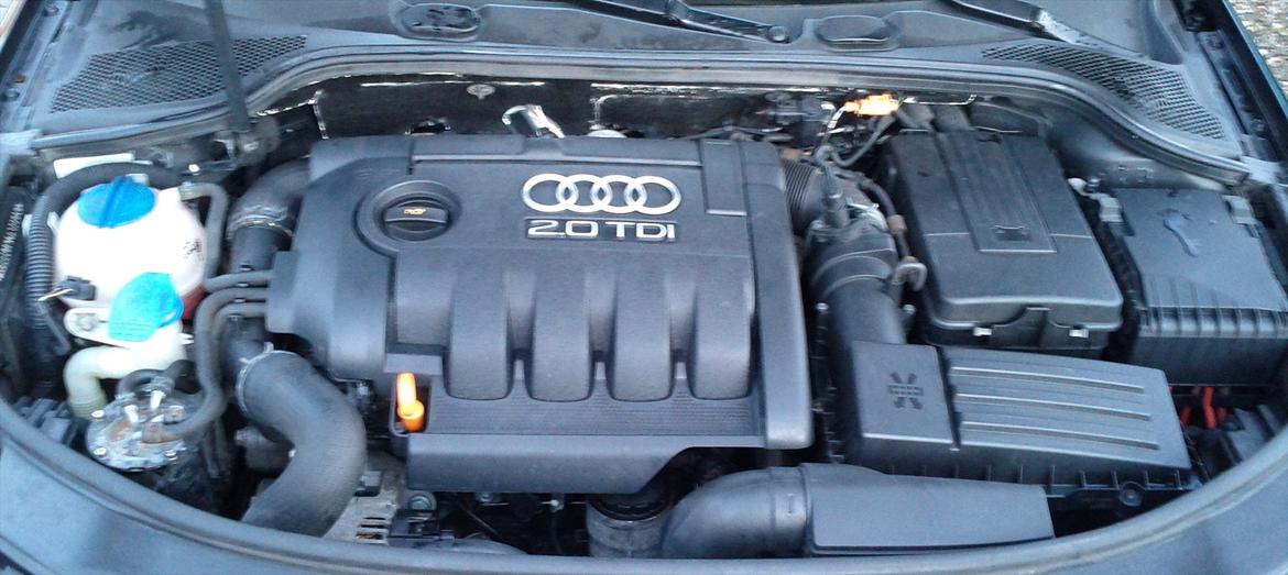 Audi A3 2.0TDI Ambition billede 10