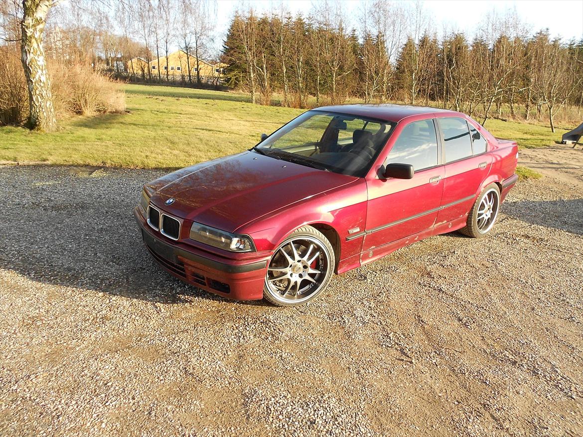 BMW 325i turbo (SOLGT) - 325i turbo billede 1