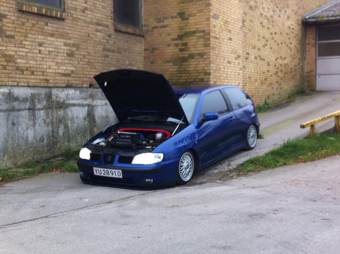 Seat Ibiza  (Tidl.bil) billede 13