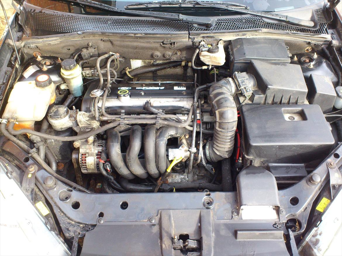 Ford Focus billede 9