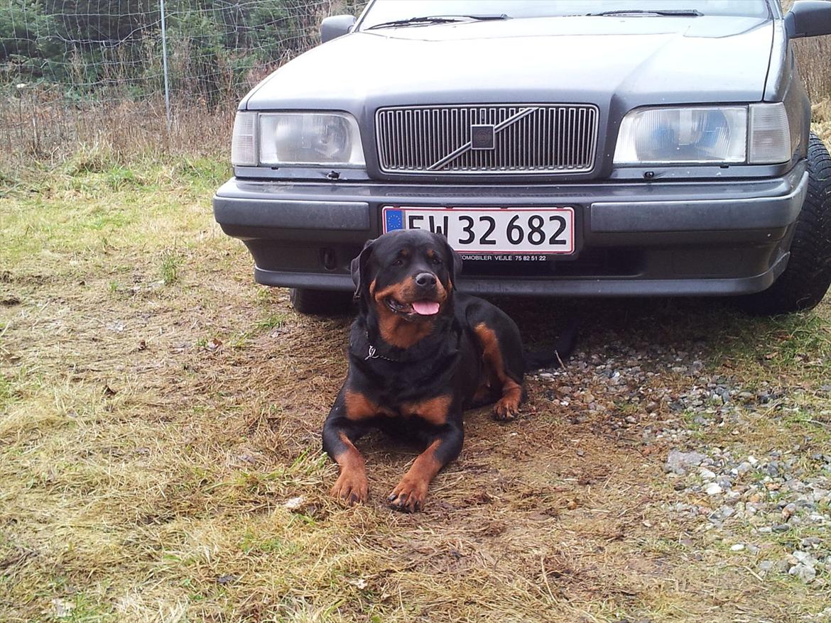 Volvo 850 GLT 2.5i 20v (r.i.p) - Min alarm billede 16