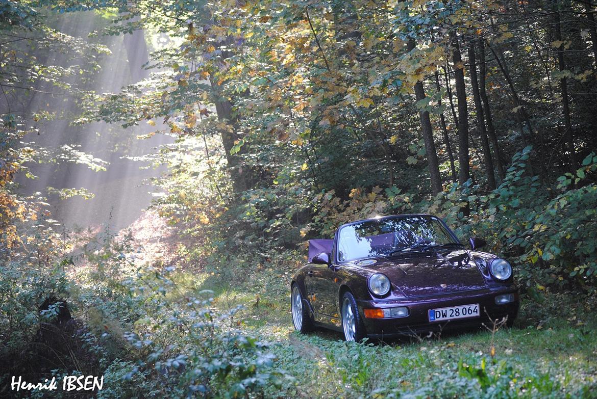 Porsche 911 billede 12