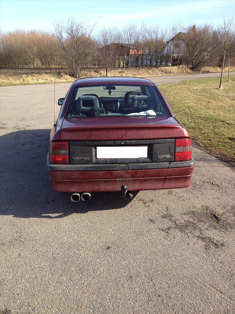 Opel Vectra 2000 KOPI "Bumle" billede 4