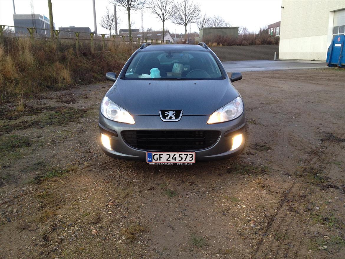 Peugeot 407 billede 1
