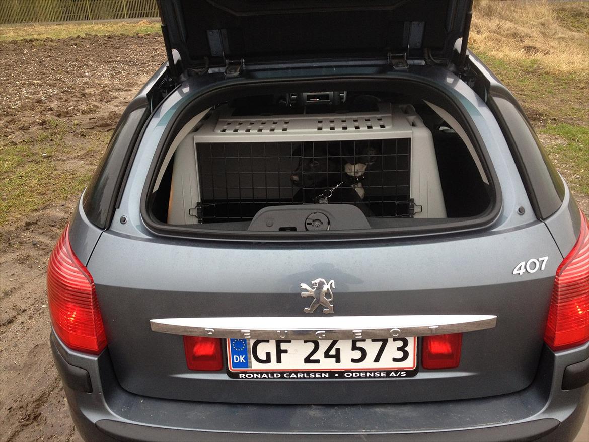 Peugeot 407 billede 9