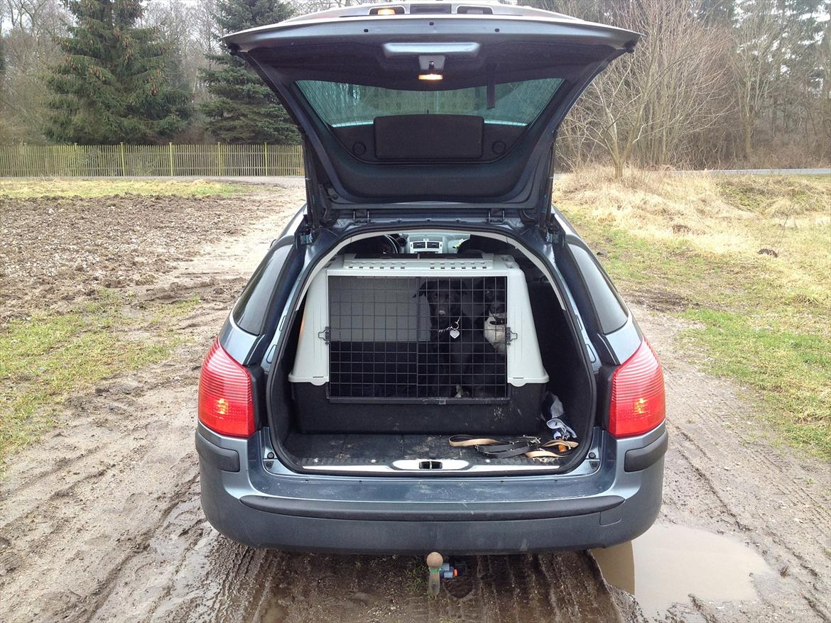 Peugeot 407 billede 10