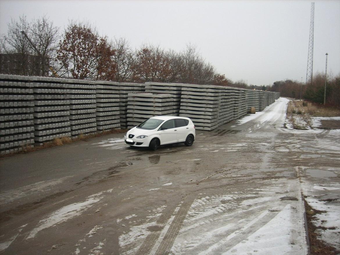 Seat Altea billede 8